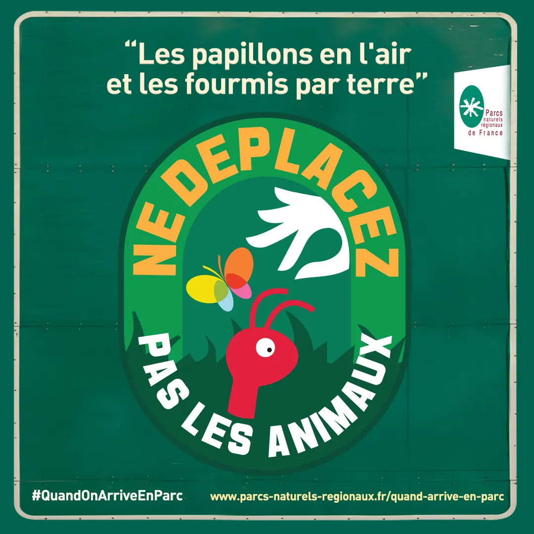 Ne déplacez pas les animaux