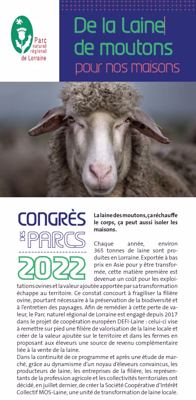 De la laine de moutons pour nos maisons