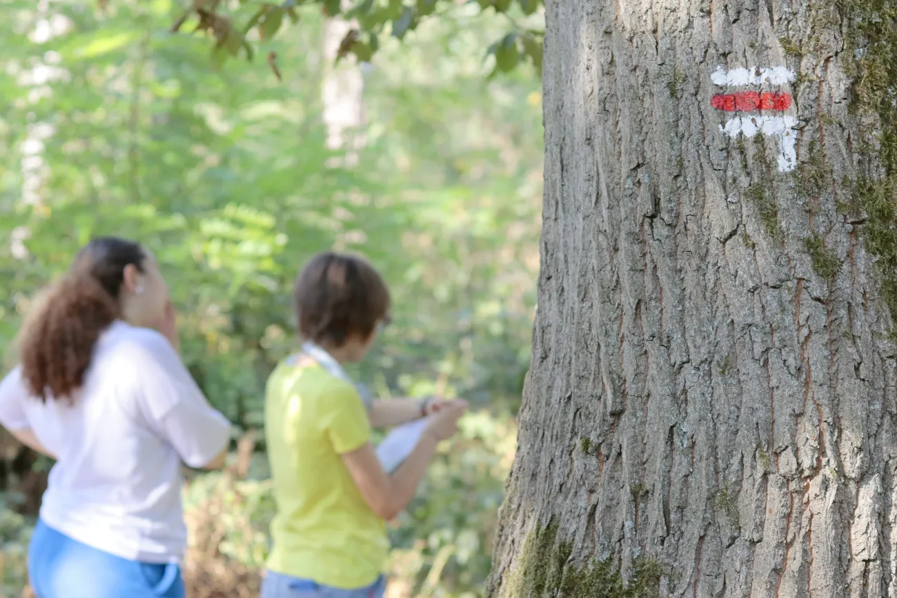 Interreg MONA (report MOdal et Nudge) pour un tourisme et des loisirs durables dans nos Aires NAturelles