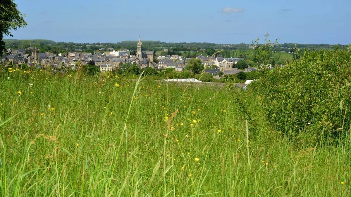 Tertre de Brandefer-Plancoet