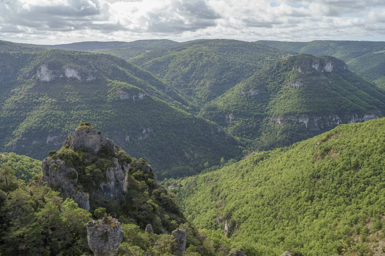 PNR Grands Causses Gorges de la Dourbie