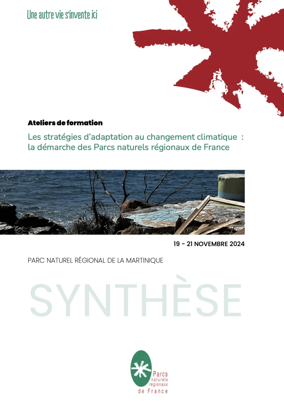 caps écran synthèse formation Martinique 2024 adaptation
