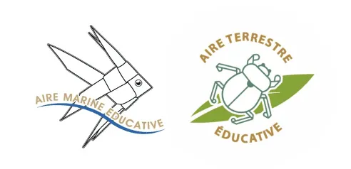 Logos aires marine et terrestre éducatives