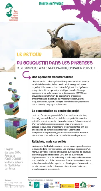 Le retour du bouquetin dans les Pyrénées ariégeoises
