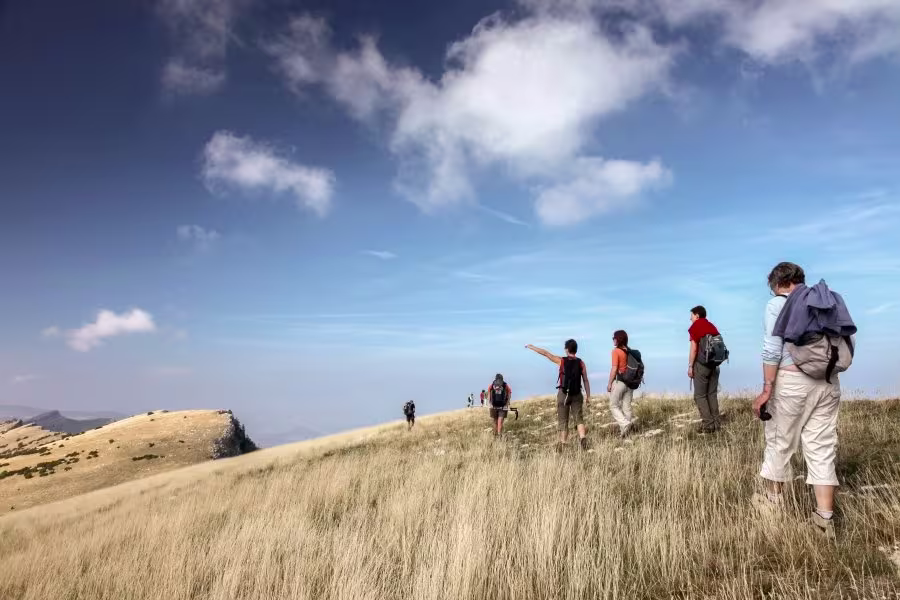 Visiter un Parc : ce qu'il faut savoir