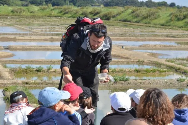 7 nouvelles entreprises Valeurs Parc naturel régional pour découvrir le Golfe du Morbihan