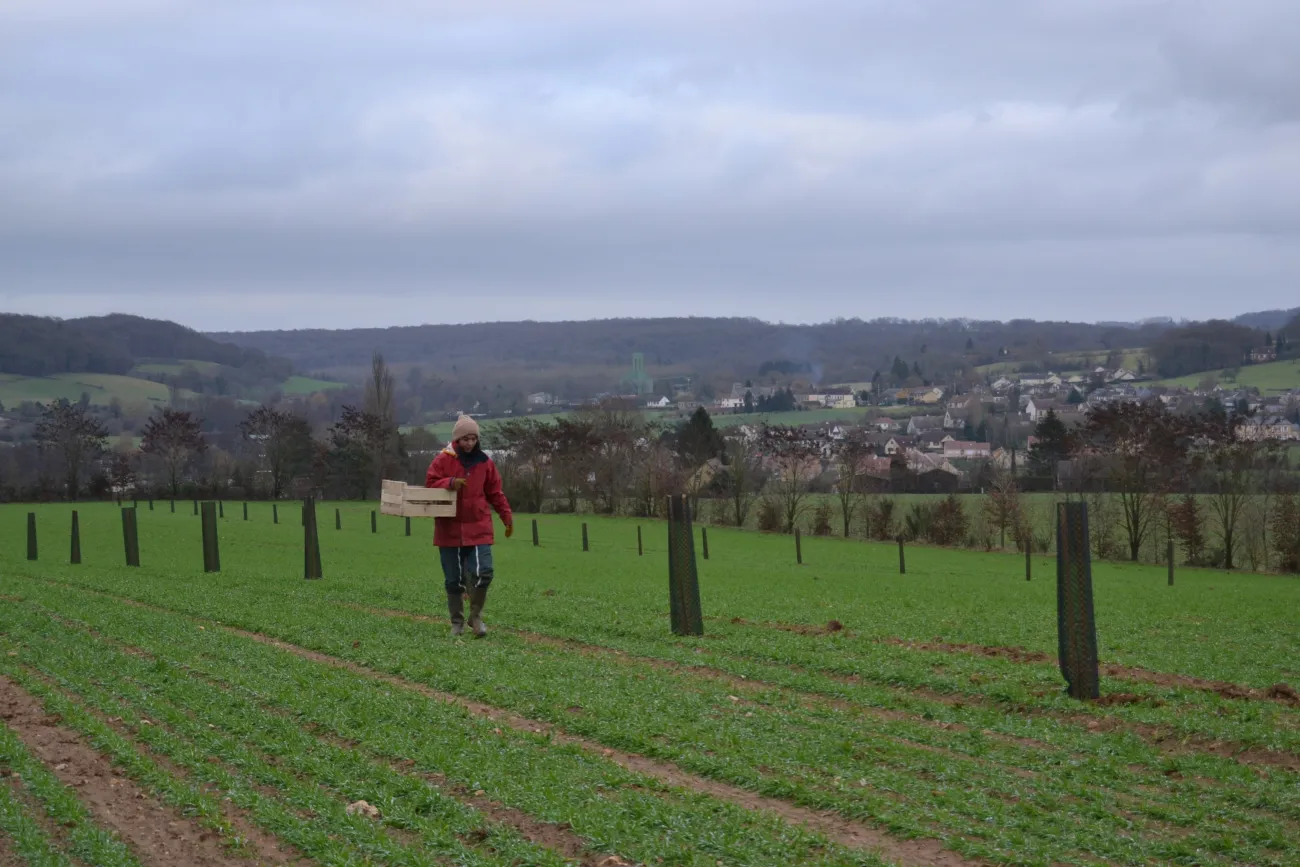 Les Parcs, acteurs de la transition agroécologique et alimentaire 