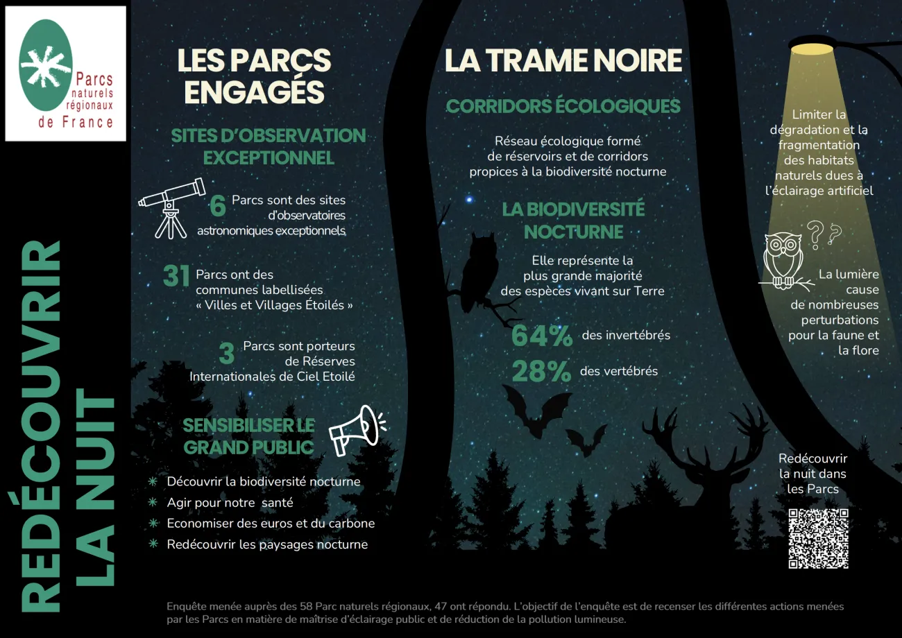 Infographie Redécouvrir la nuit - page 2