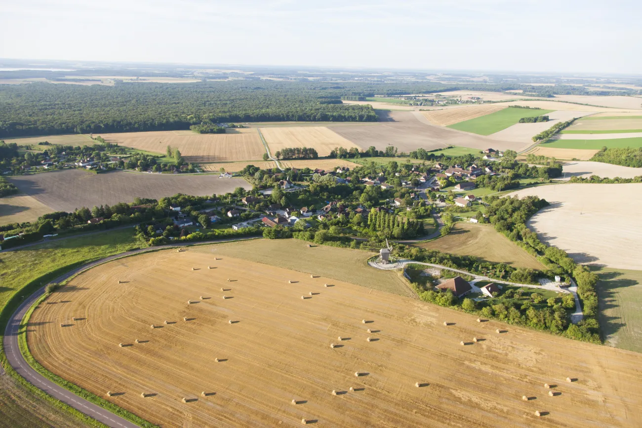 Champagne crayeuse en Forêt d'Orient