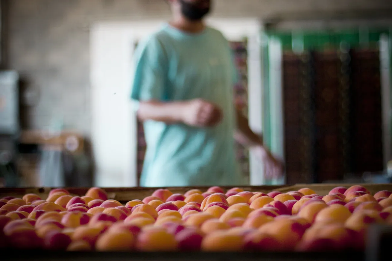 Abricots