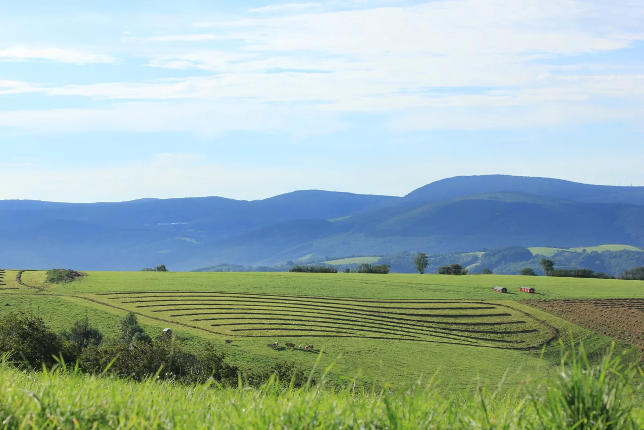 Paysage rural tarnais