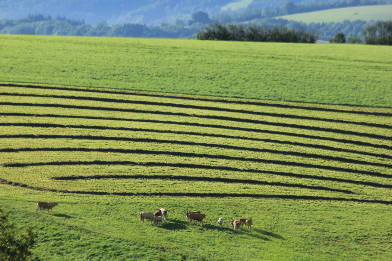 Paysage rural tarnais