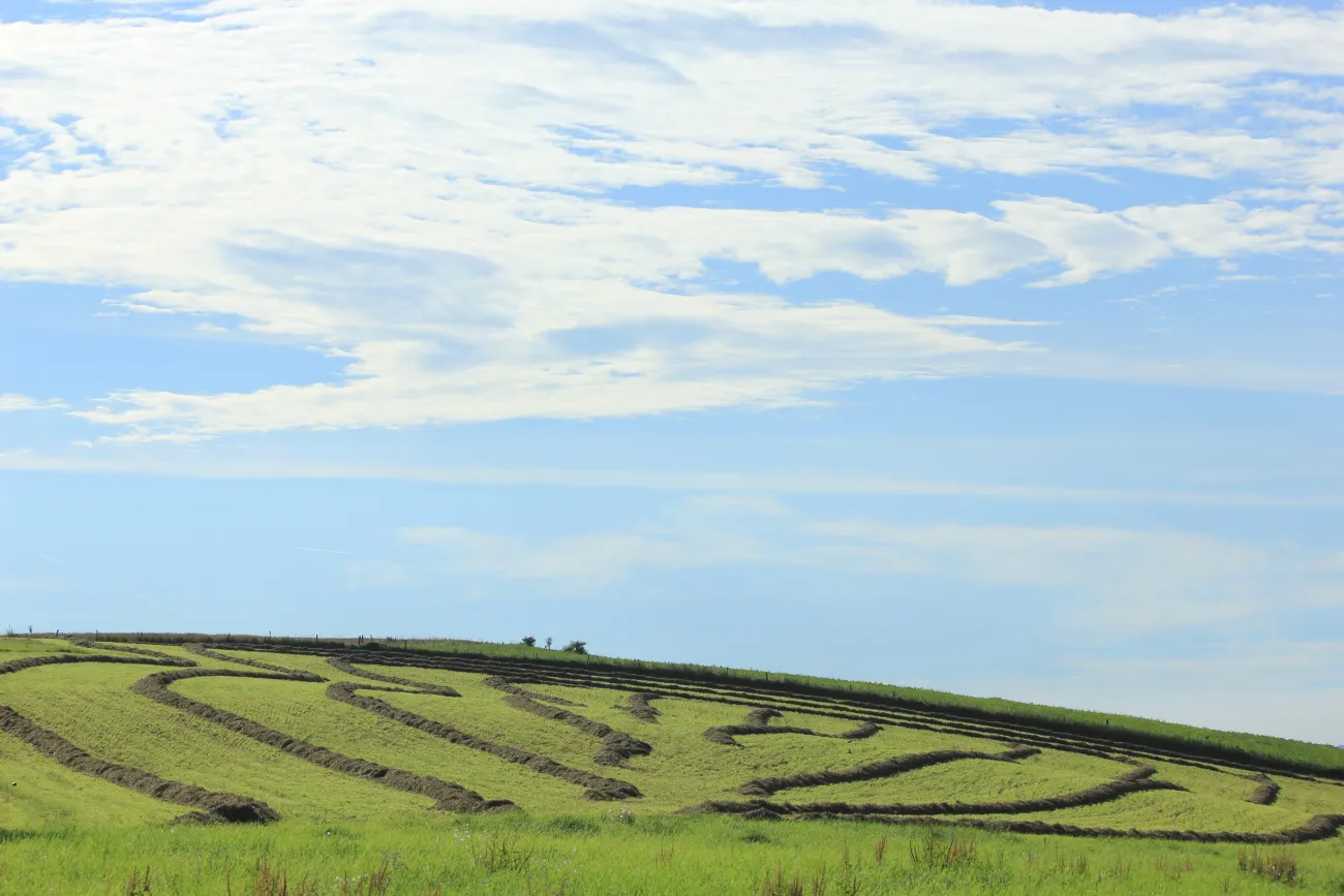 Paysage rural tarnais