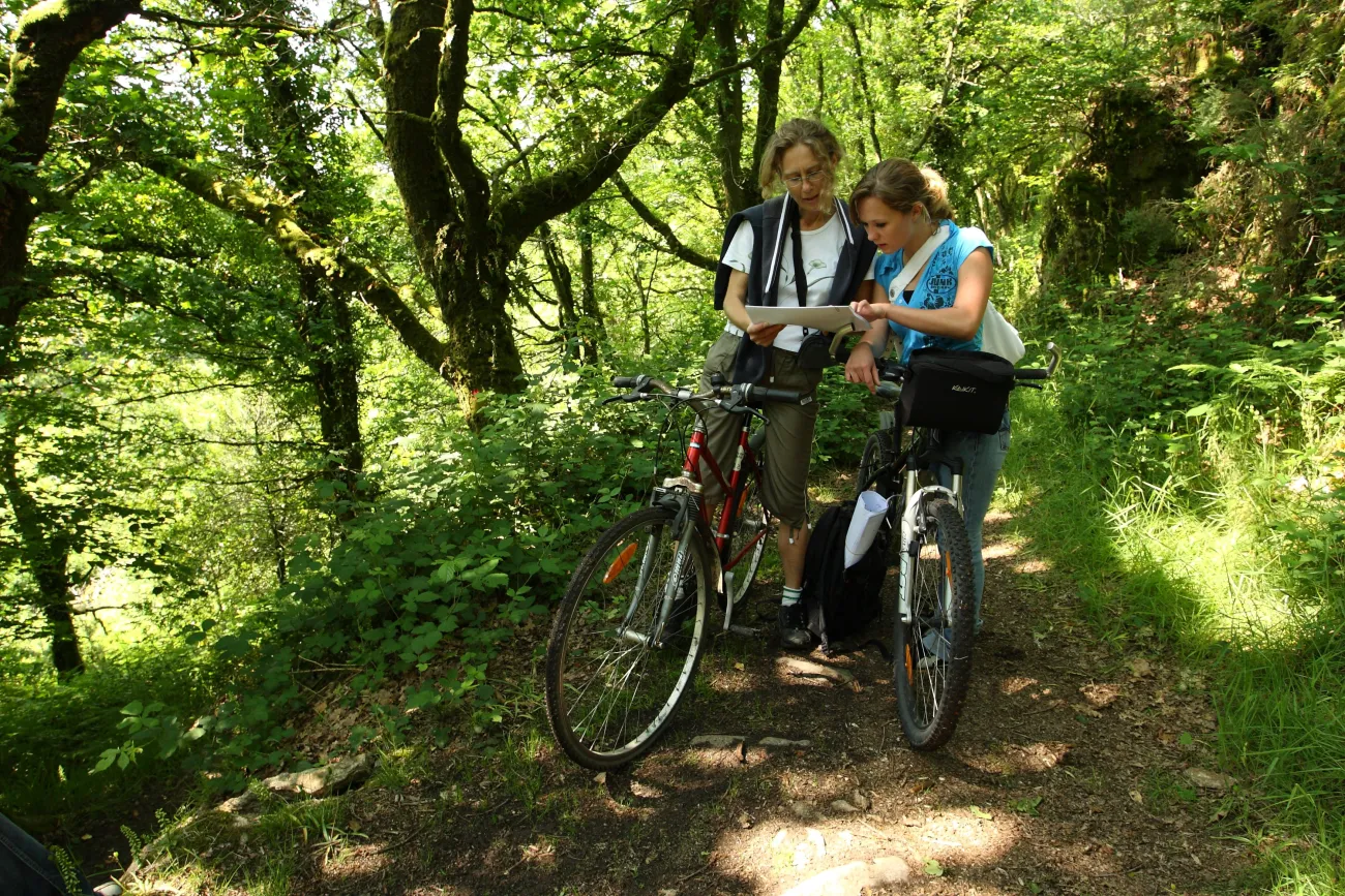 Balade en vélo Golfe du Morbihan