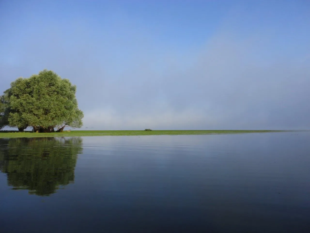 Brume matinale sur le Lac d'Orient