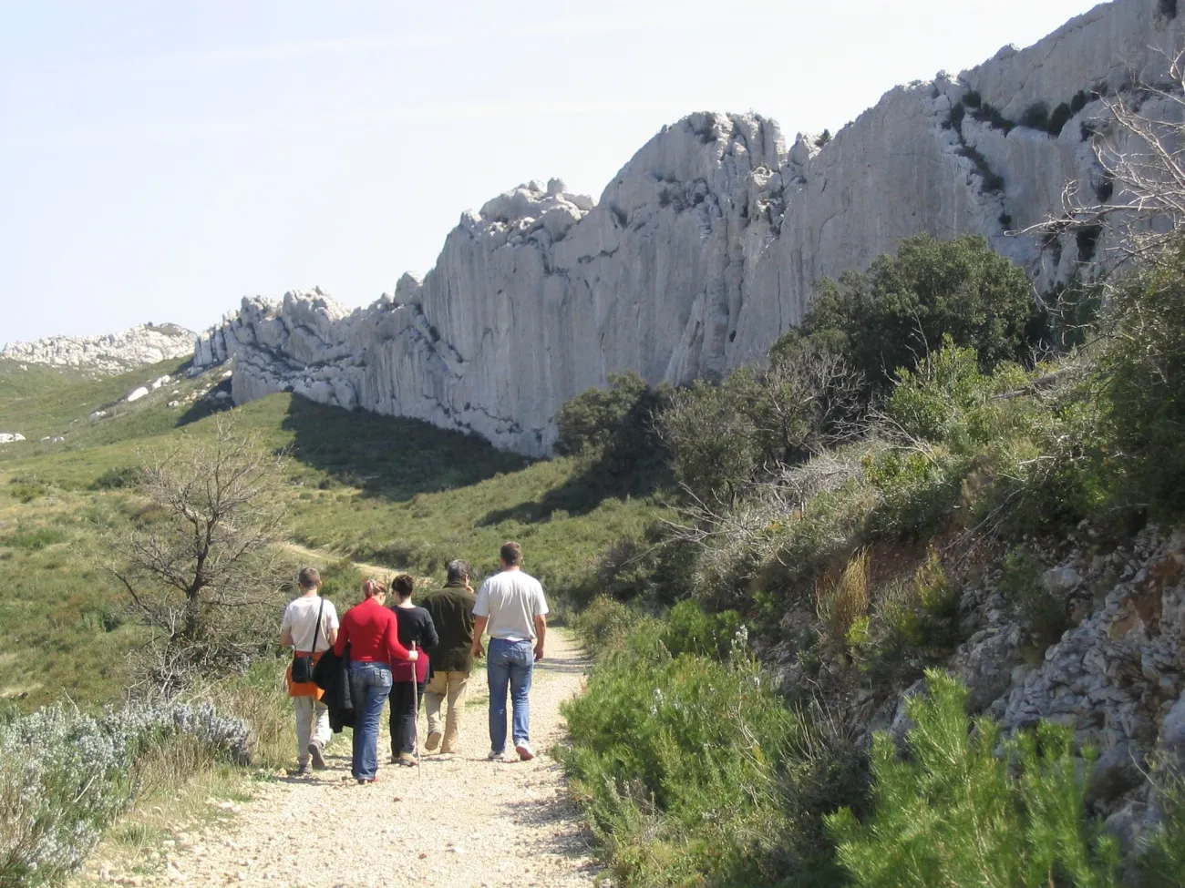 Paysages Alpilles