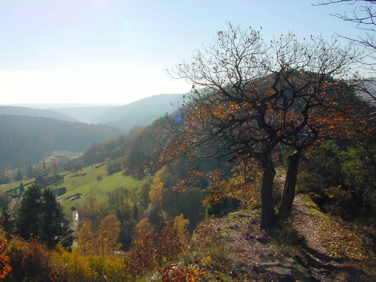 Vue sur Windstein ©‎ PNR Vosges du Nord