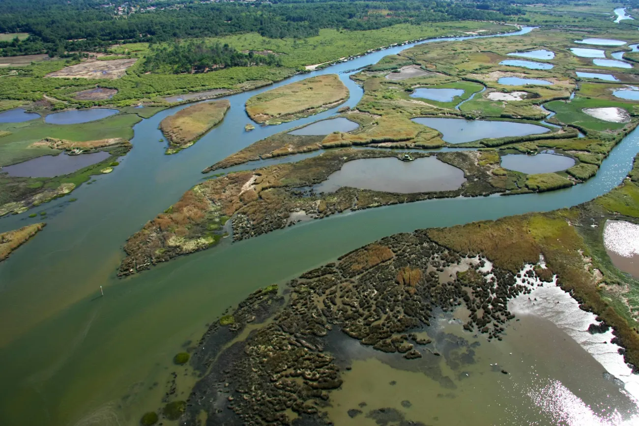 Delta de la Leyre