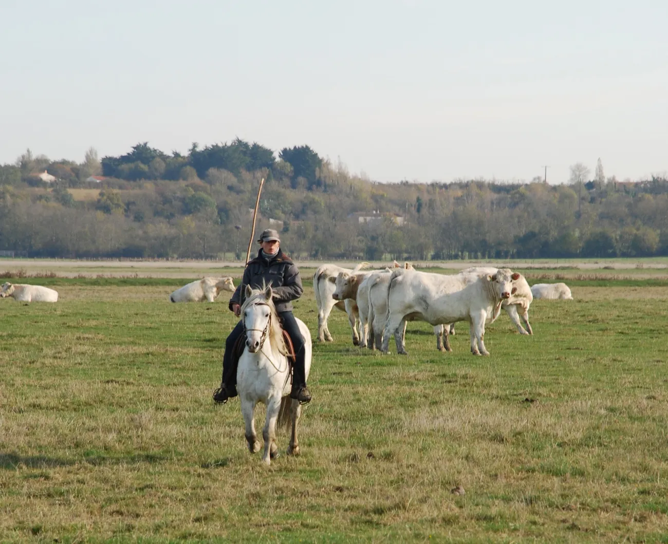 Ecopasteurs dans le Marais poitevin