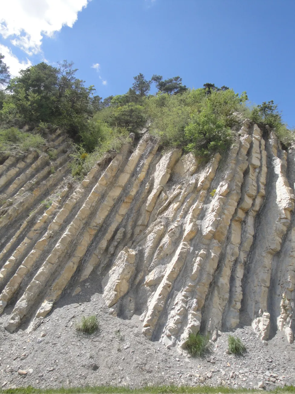 Espace Naturel Sensible du Serre de l'Ane