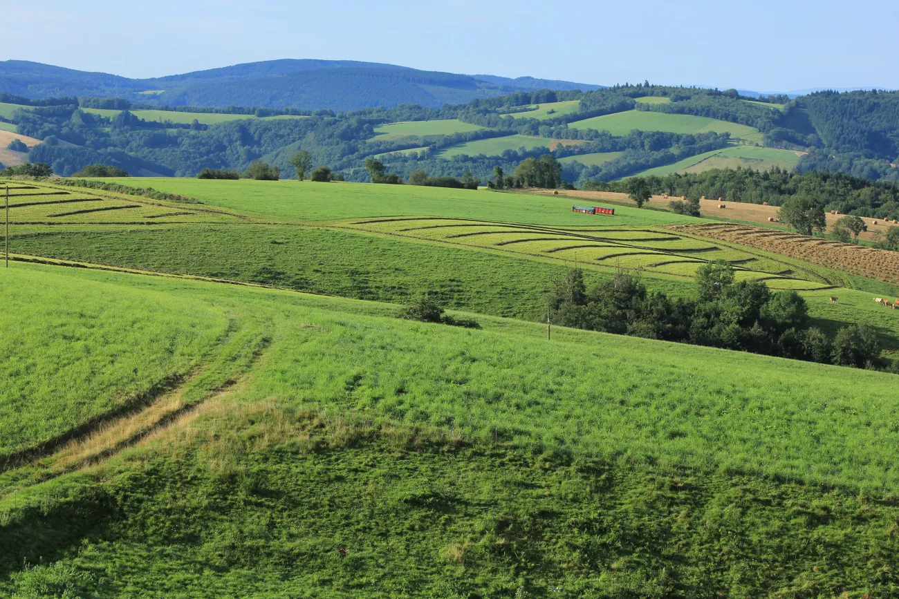 Paysage rural tarnais