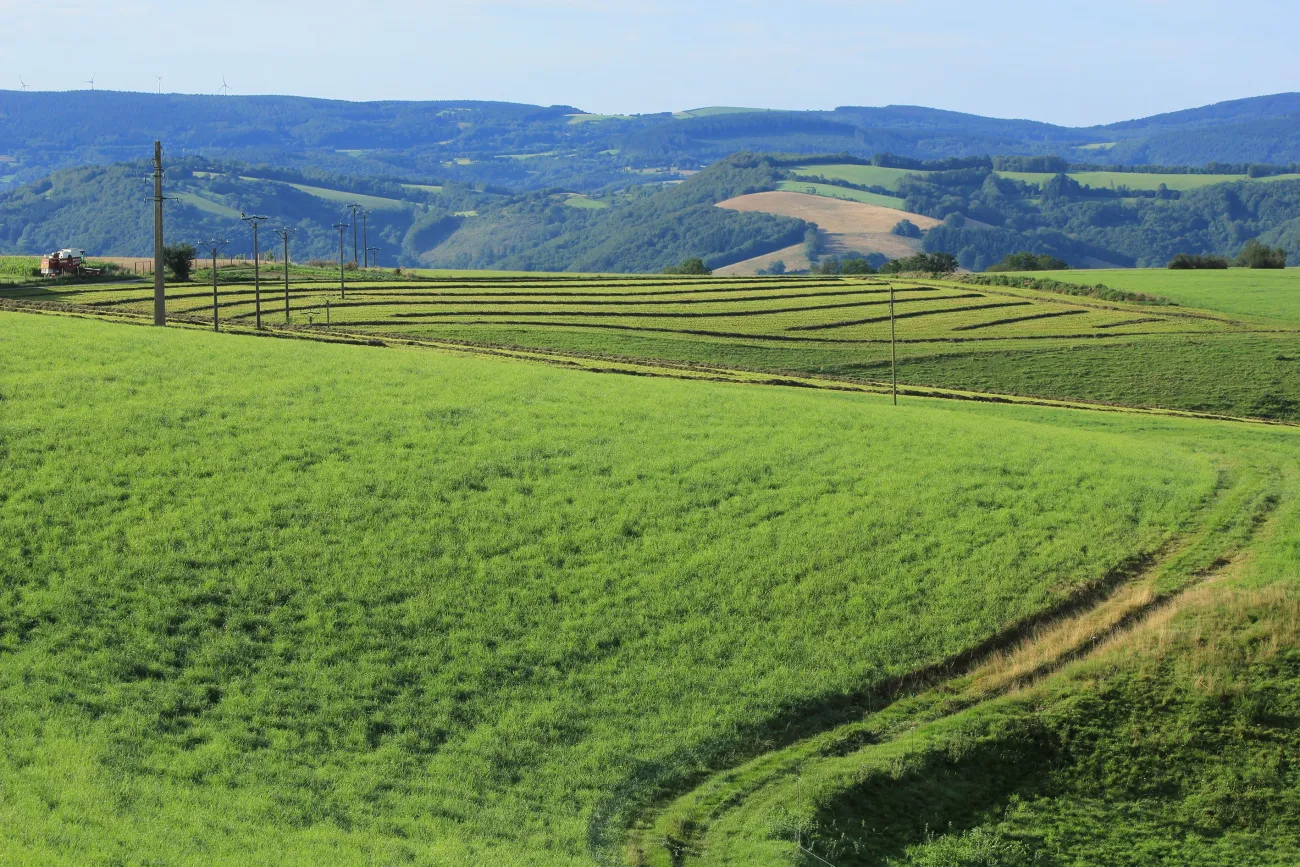 Paysage rural tarnais