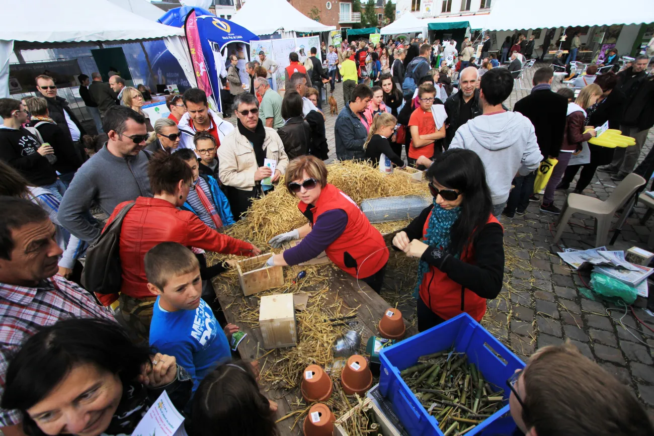 Fête du Parc - création d'un gîte à insectes