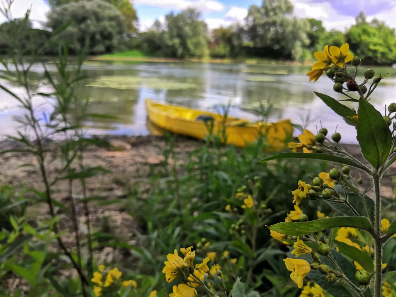 Canoé sur les boucles de la Seine - 2 - Parc du Vexin Français