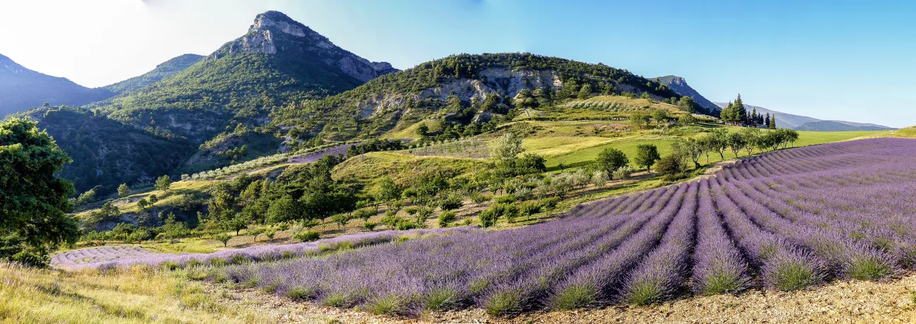 Baronnies provençales - été