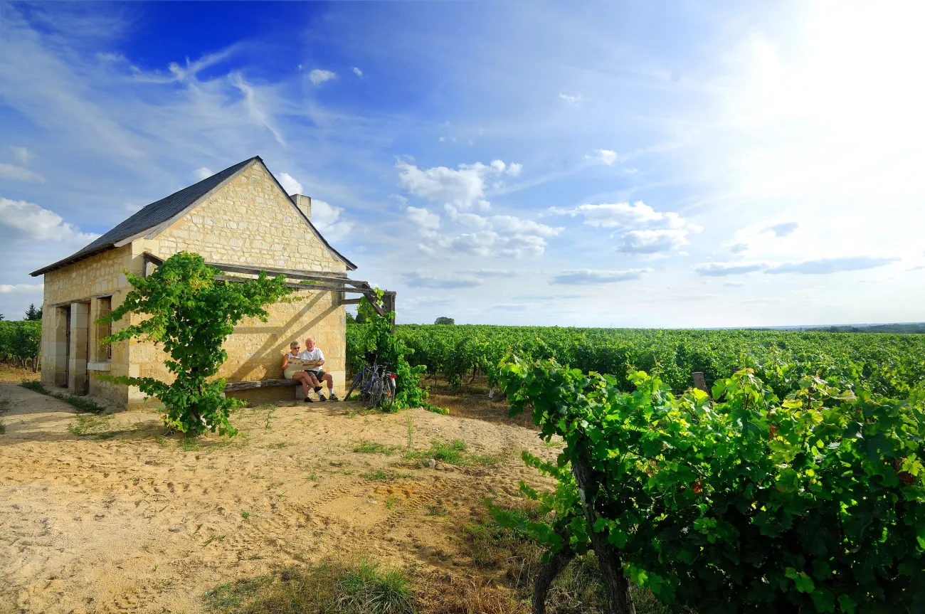 Loge de vigne © Christophe Petiteau