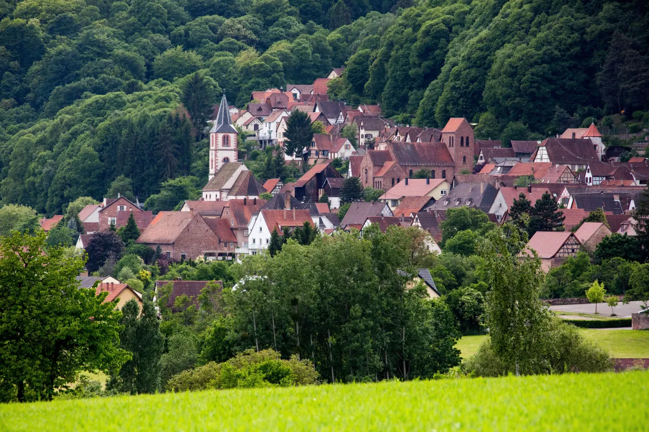 oberbronn-9871(a)A-Dorschner