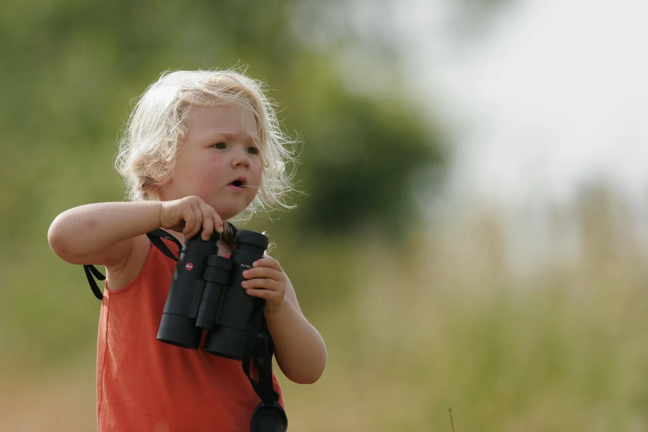 Enfant observant les oiseaux- golfe du Morbihan