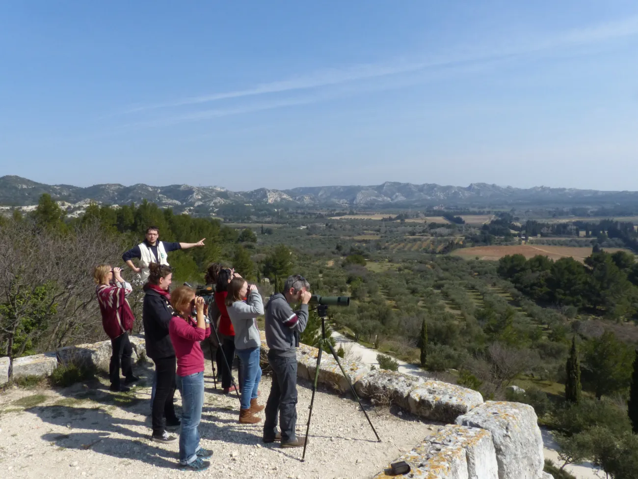 Sortie nature Alpilles