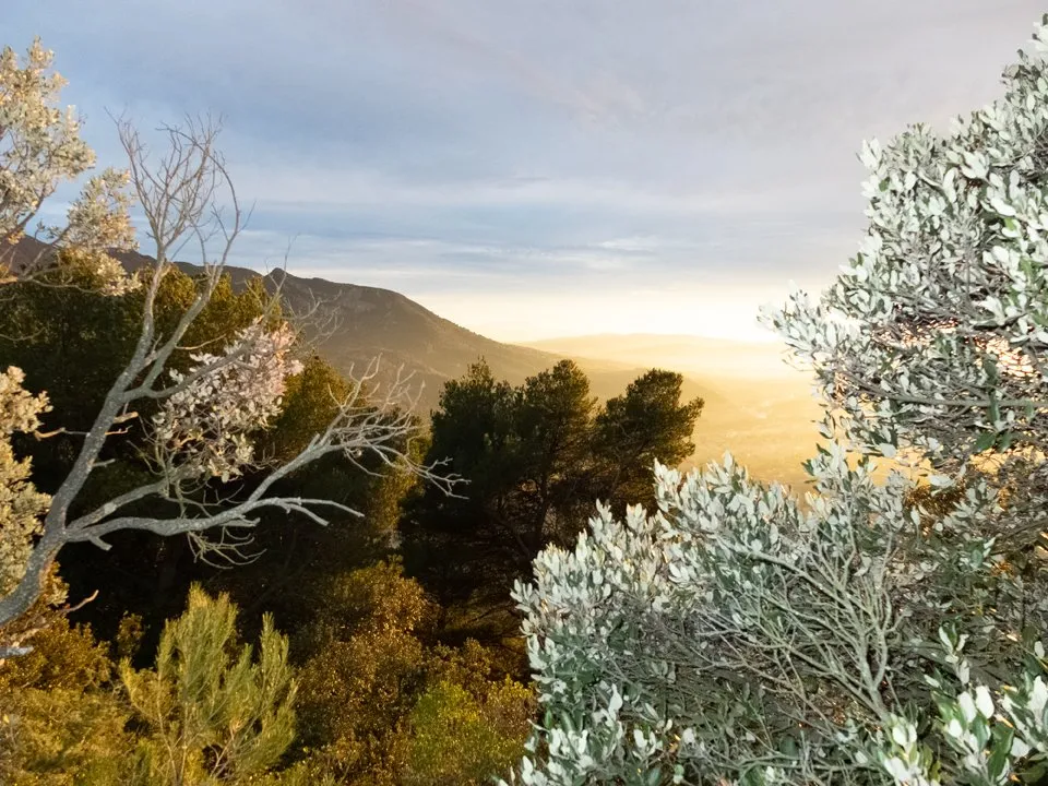 Paysage hiver 1