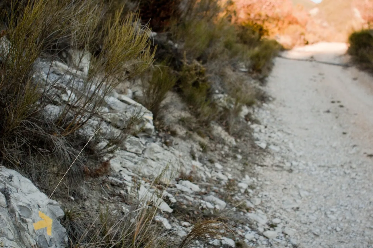Paysage hiver 2