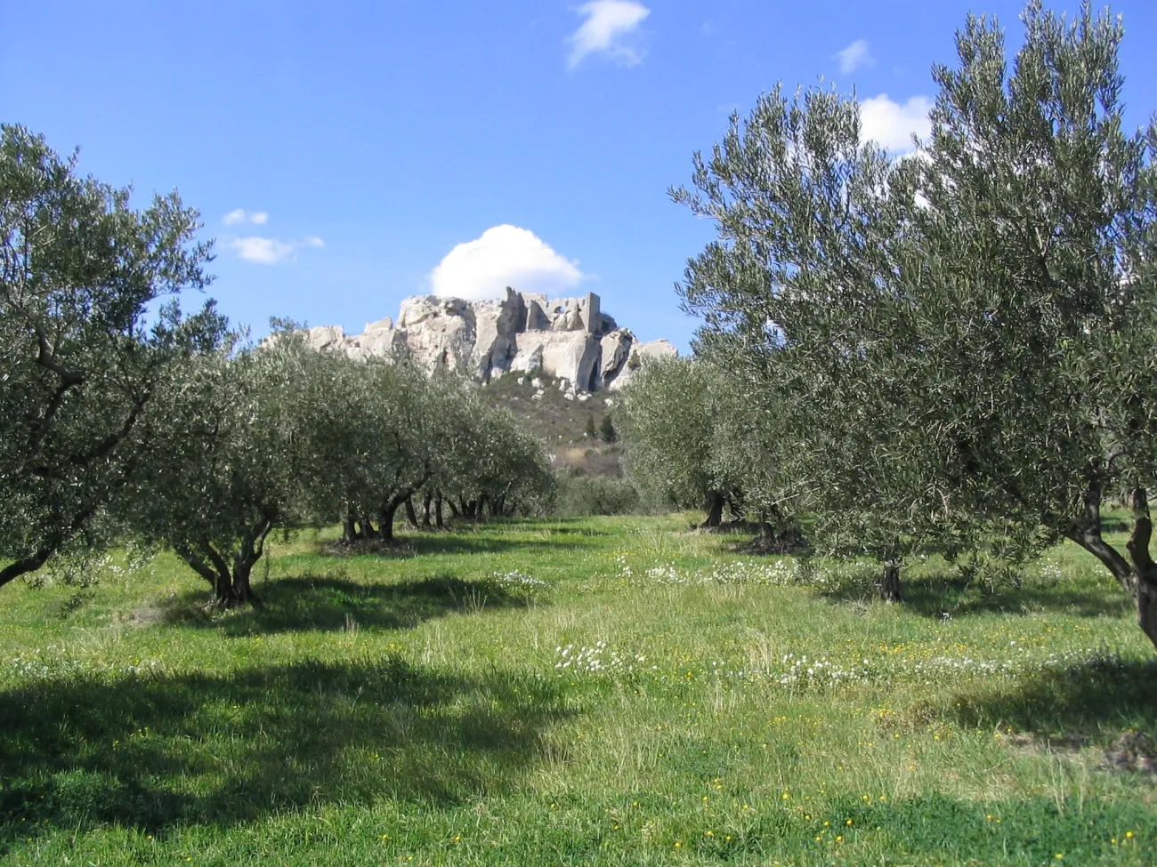 Paysages Alpilles Les Baux-de-Provence
