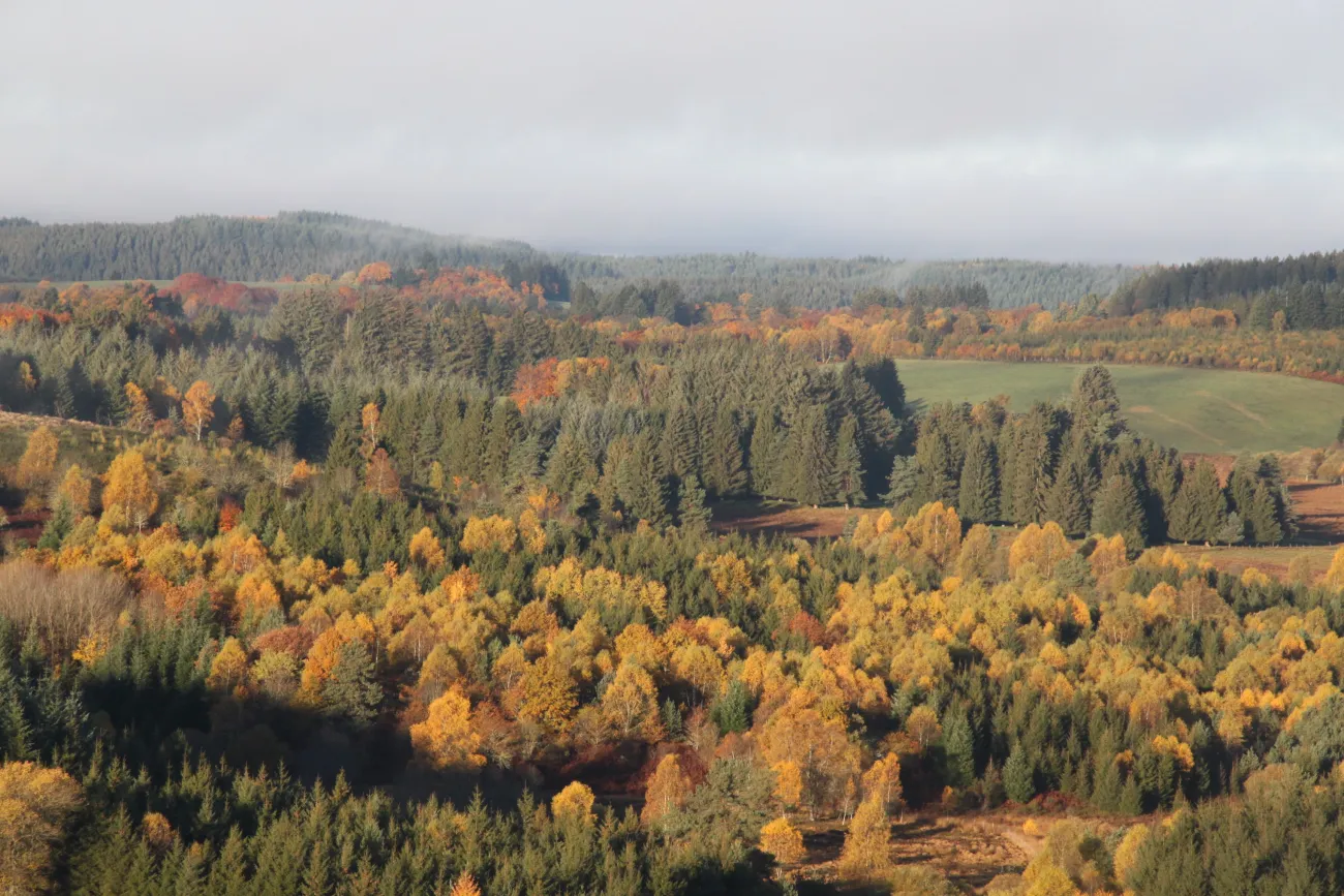Paysage d'Automne aux Sources de la Vienne en Corrèze
