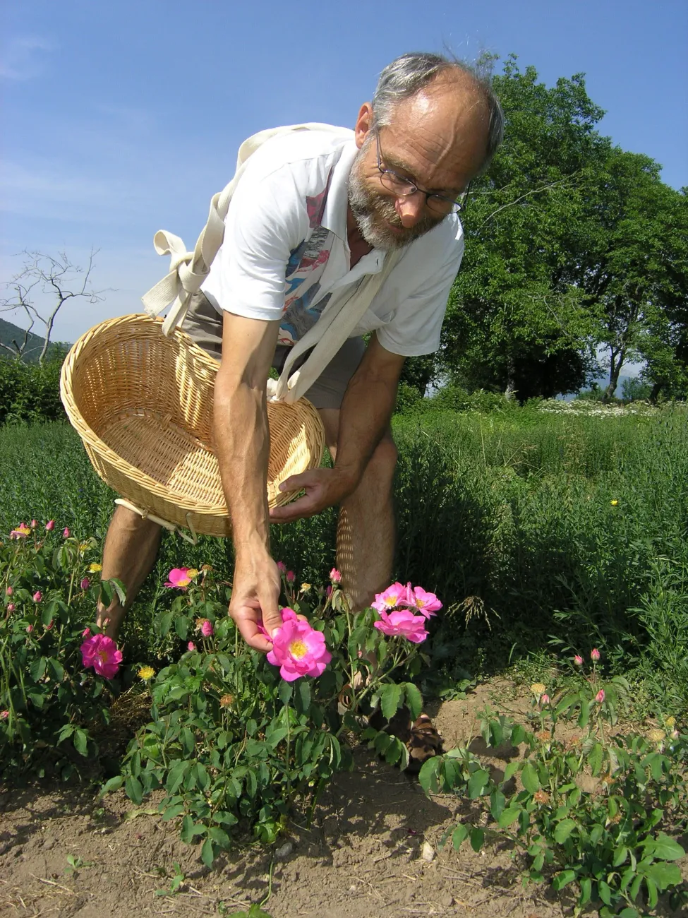 La Magie des Plantes à l'herbier de la Clappe