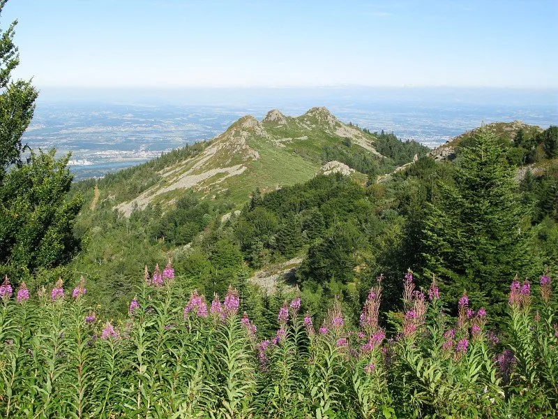 Les 3 dents © Florence COSTE / Parc naturel régional du Pilat
