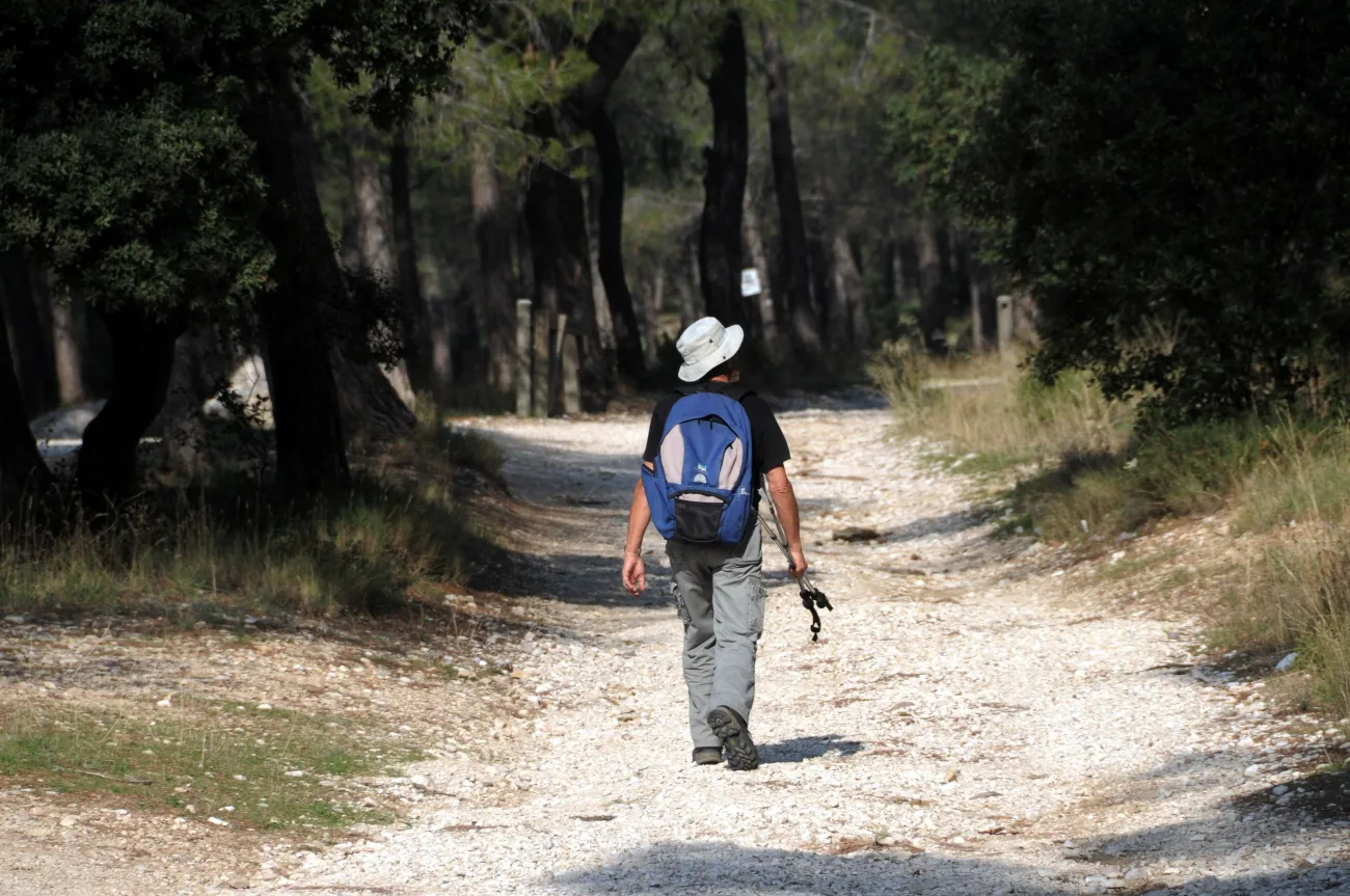 balade Alpilles 2
