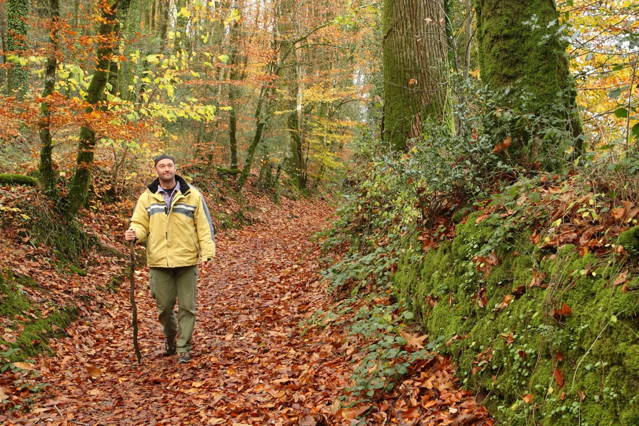Randonneur en forêt- PNR Golfe du Morbihan