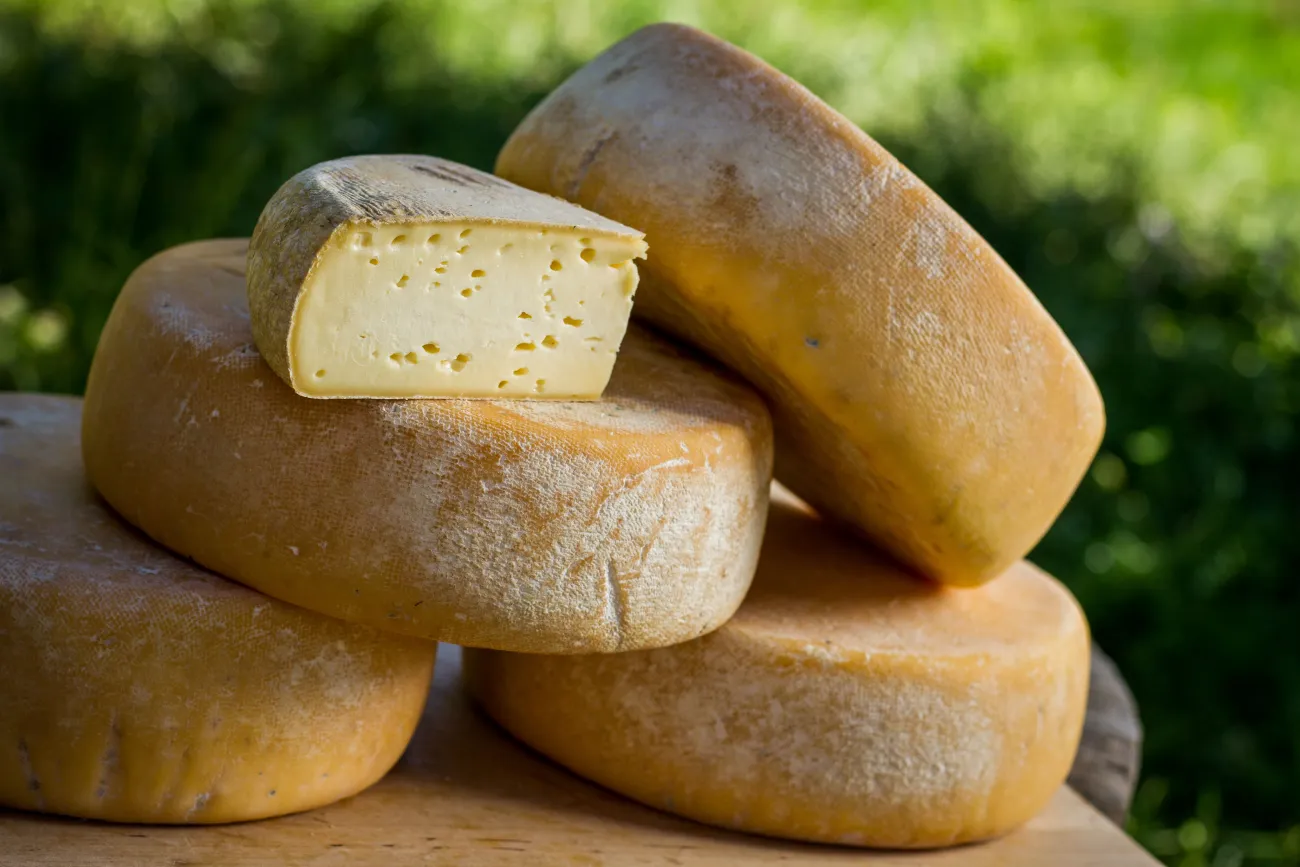 Tomme des Pyrénées au lait cru