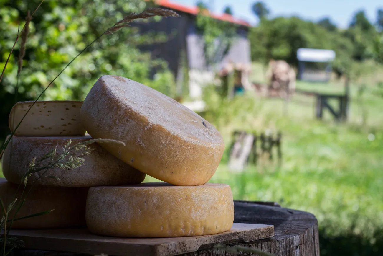 Fromage fermier Parc Pyrénées Ariégeoises