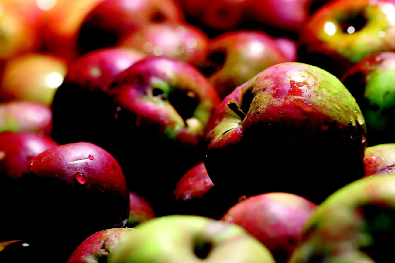 Pommes du Parc des Pyrénées Ariégeoises