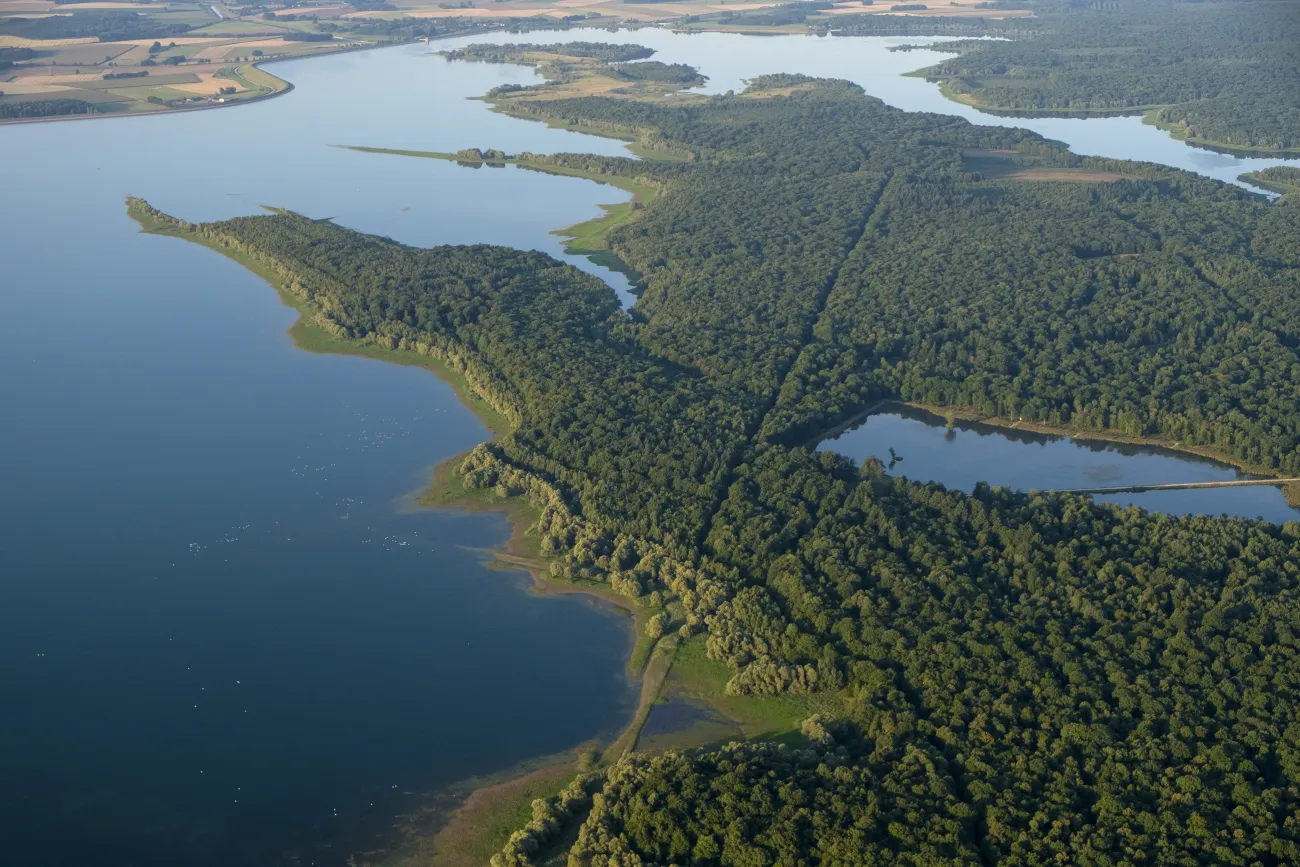 Réserve Naturelle Nationale de la Forêt d'Orient