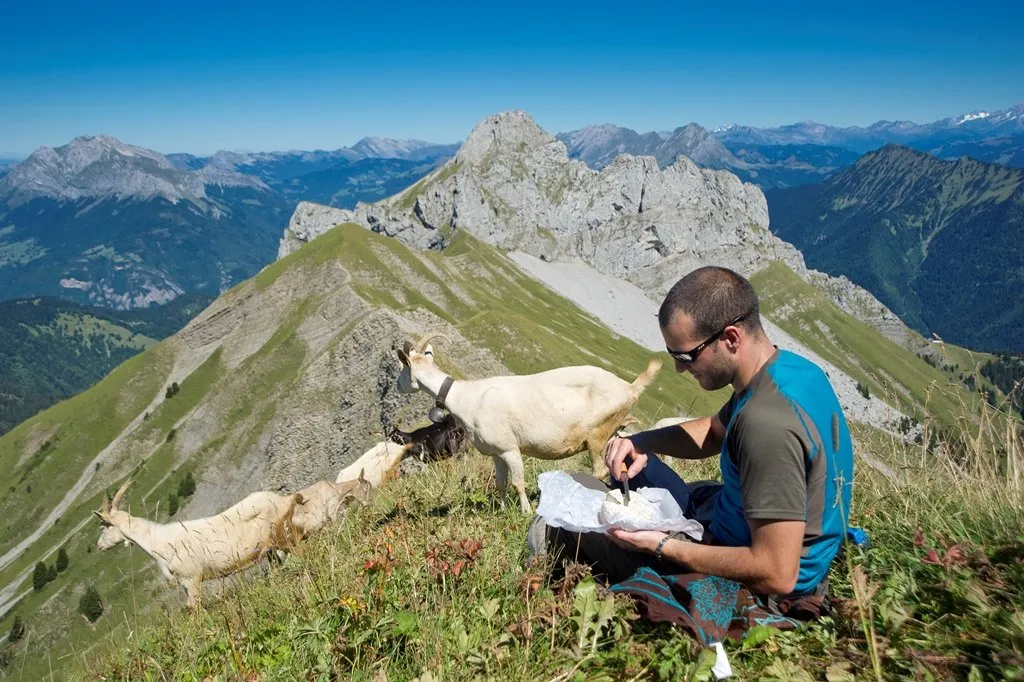 Pause gourmande et découverte des Alpages