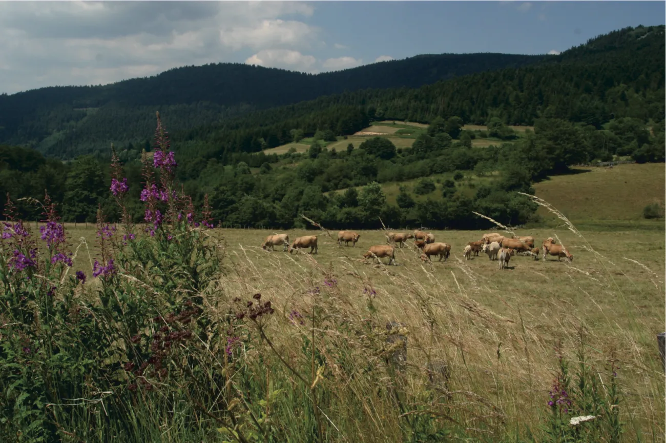 St Sabin © PNR Pilat