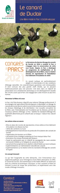 Marché initiatives Boucles Seine 1 2021