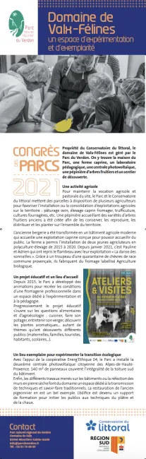 Marché initiatives Verdon 2021