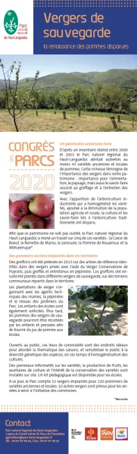 Vergers de sauvegarde : la renaissance des pommes disparues